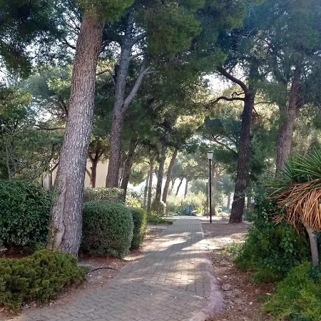 Bleu Cassis-vintage -3 Ch- Magnifique Vue Mer- Parking Gratuit Et Jardin *